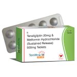 Teneligliptin + Metformin (Tenlifine M 500 SR) 20 mg + 500 mg